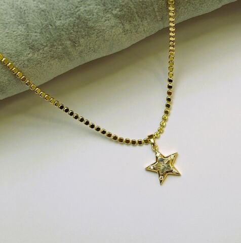 14K Rengi Yıldız Çelik Kolye TK359