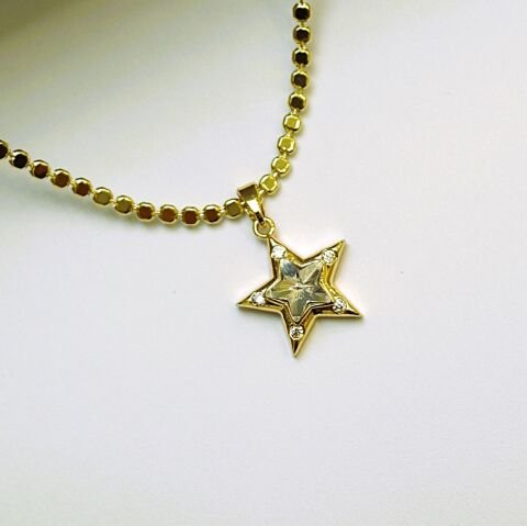 14K Rengi Yıldız Çelik Kolye TK359